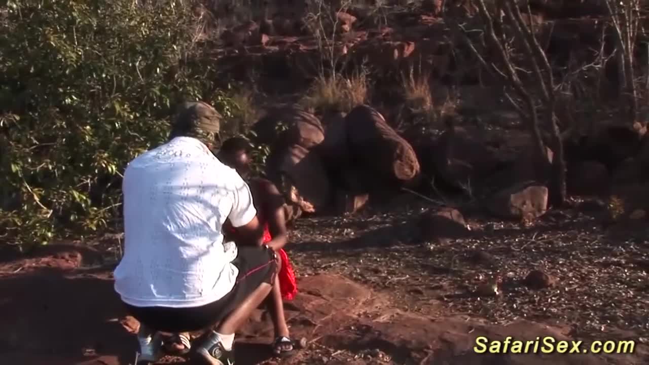 Energetic Savanna - safarisex porn - Safari Sex